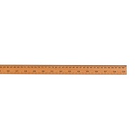 2010600-1 Meter Ruler Scale