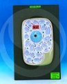 plant cell shiv sons