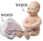 W43039-placenta-umbilical-Cord