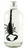 scorpion_alcohol