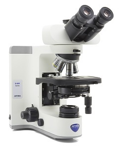 B-810_Microscopy