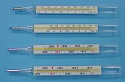 Flat Clinical Thermometer