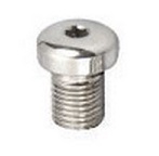 orthopedic-plug-screw